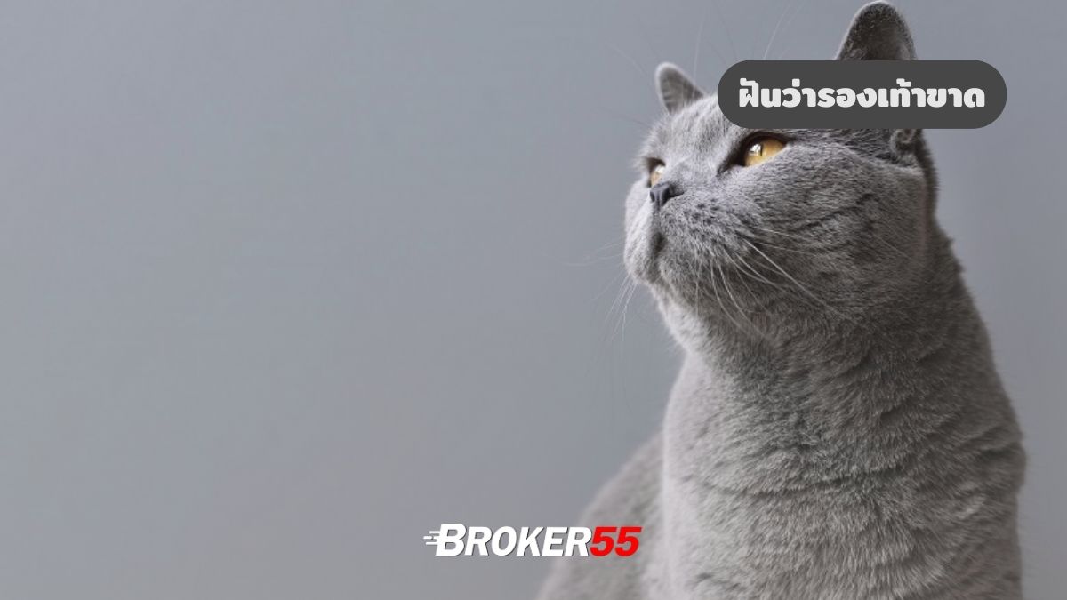 ฝันว่ารองเท้าขาด